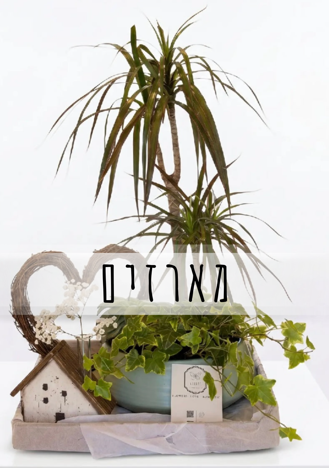מארזים