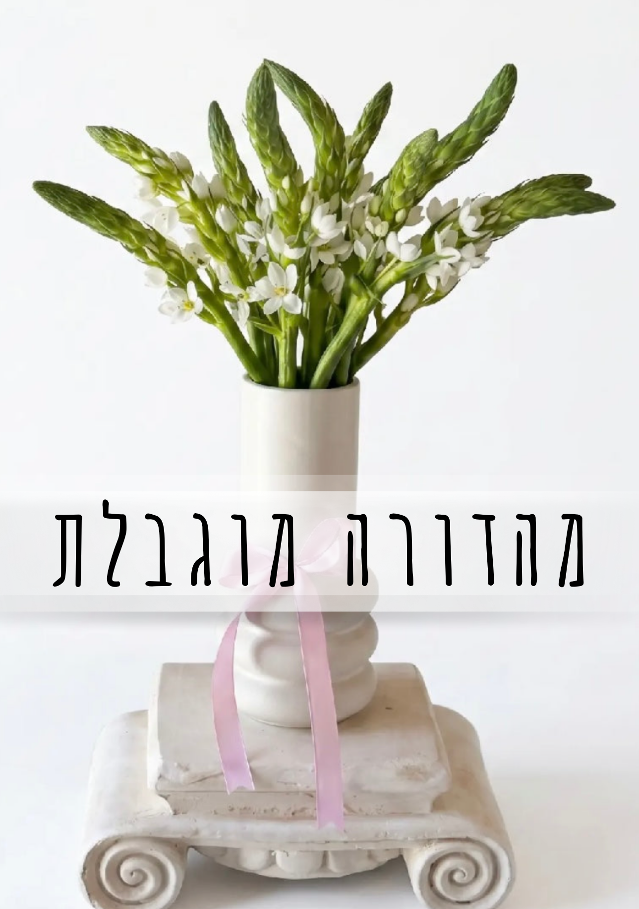מהדורה מוגבלת