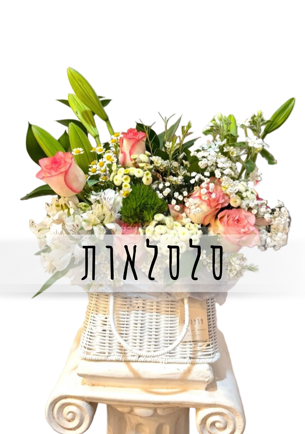 סלסלאות