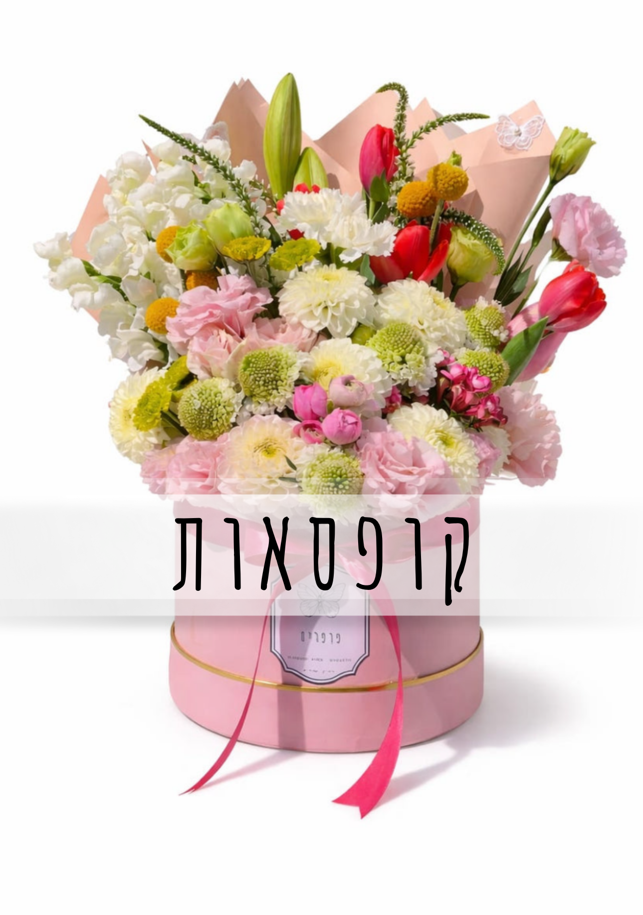 קופסאות
